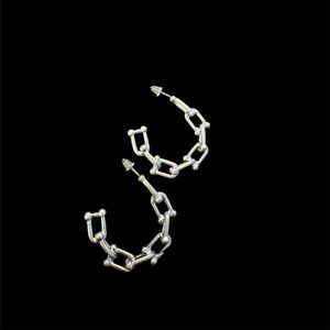 Non Branded Link Earrings . NWOT Boutique quality. Not too heavy. Silver color.